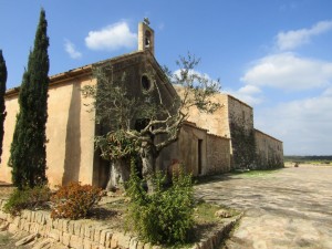 IMG_4906 (Medium)